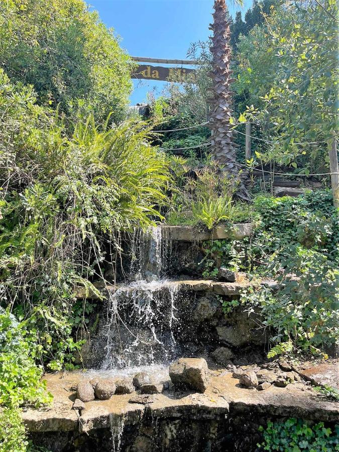 Parque Da Mina Otel Monchique Dış mekan fotoğraf